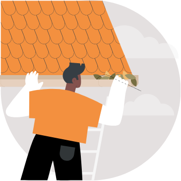 roof gutter cleaning visual
