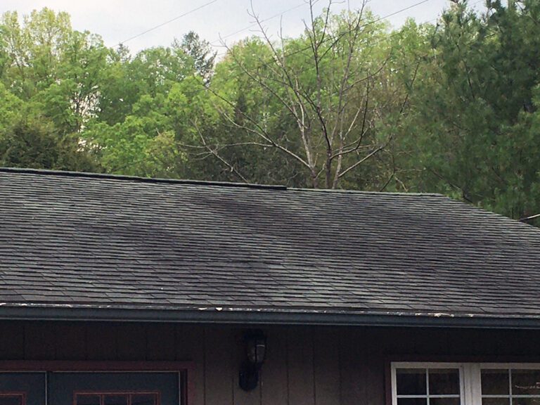 Black mold streaks on asphalt shingles in East Tennessee before professional cleaning.